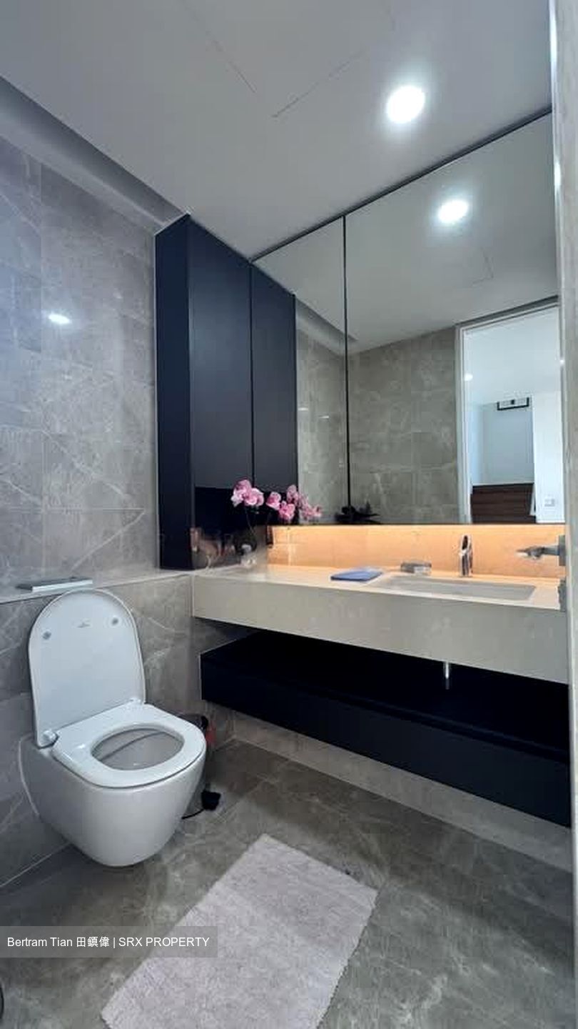 Amber Park (D15), Condominium #604734571